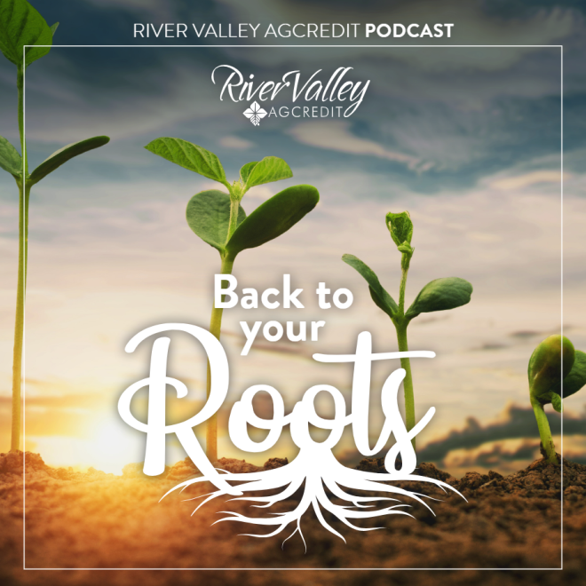 back to your roots podcast album cover